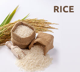 rice-banner